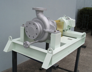 Magnagtex Hot Liquid Duty Mag Drive Pump