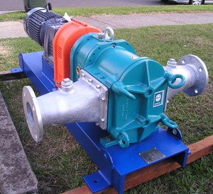 Borger Rotary Lobe Pumps