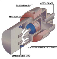 Gear Pump Cutaway